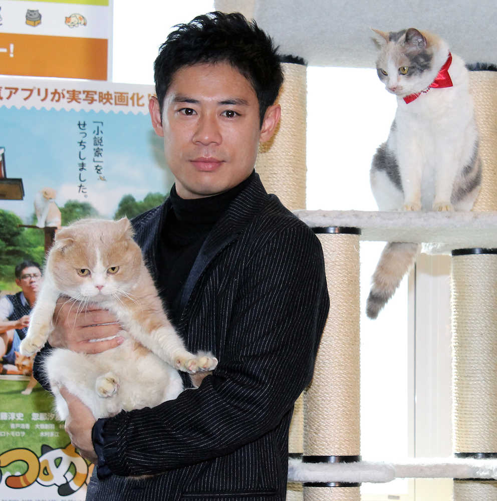 映画「ねこあつめの家」の猫カフェ試写に参加し、シナモンを抱く伊藤淳史