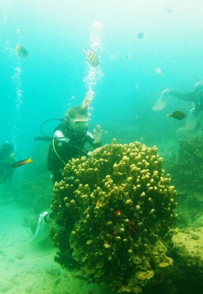 海底で魚やサンゴ礁と一緒にポーズをとる戸田恵梨香
