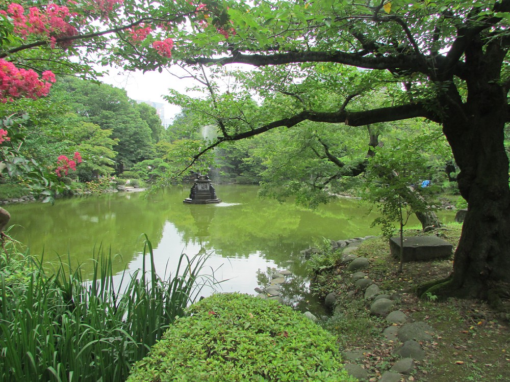 テレビ東京「池の水ぜんぶ抜く」第４弾の舞台となる東京・日比谷公園の雲形池