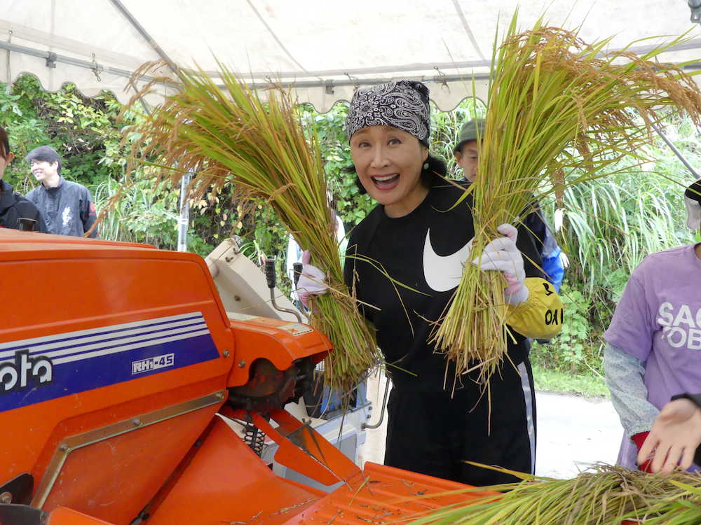 山古志地区の小林幸子田で収穫された稲の脱穀作業を行った小林幸子