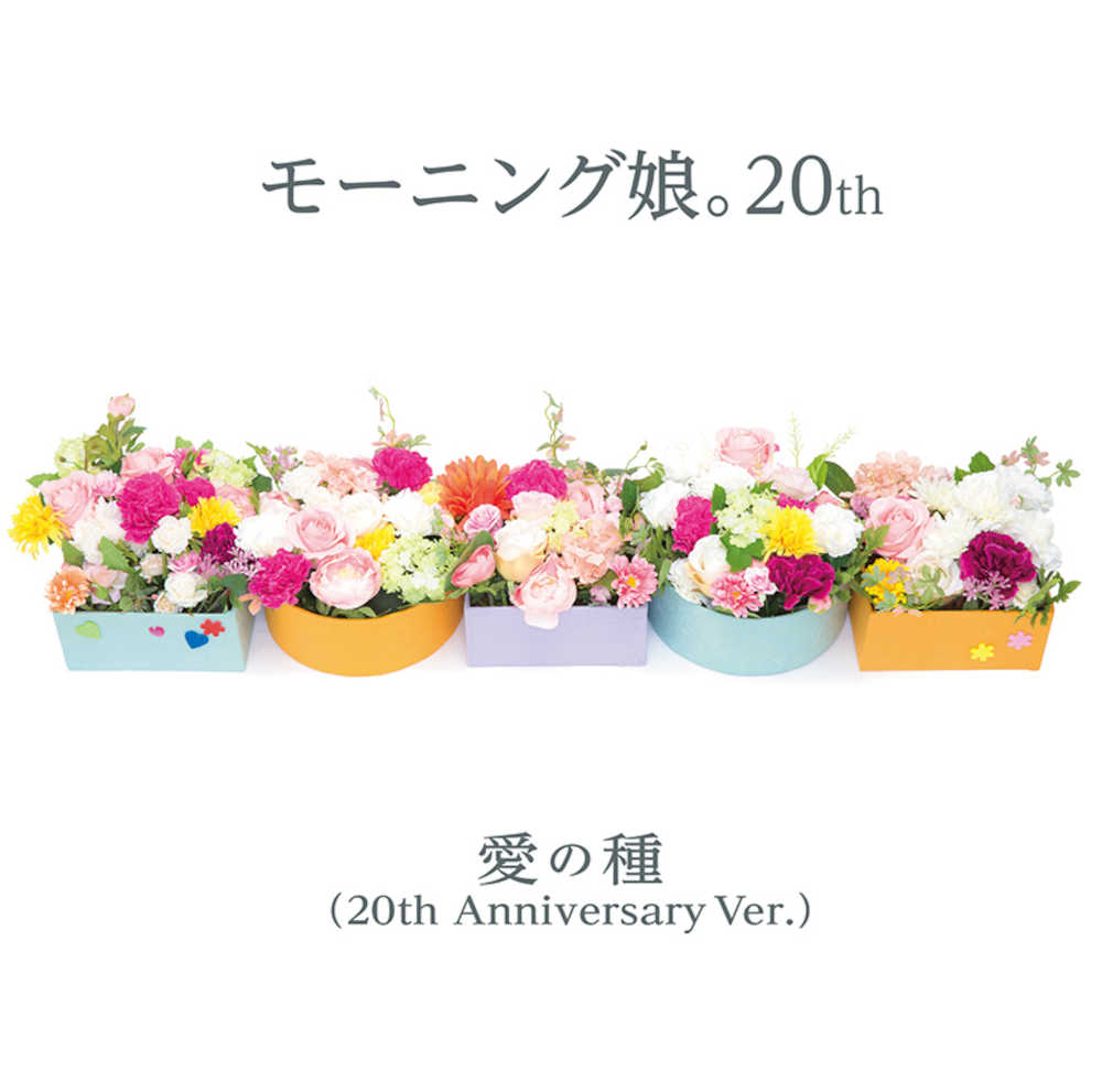 【画像・写真】モー娘１期生１８年ぶり結集　現役生とコラボ「愛の種」再リリース