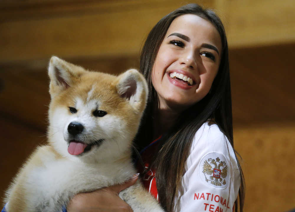 【画像・写真】秋田犬ブームはまだまだ続く　ザギトワ効果でさらに注目