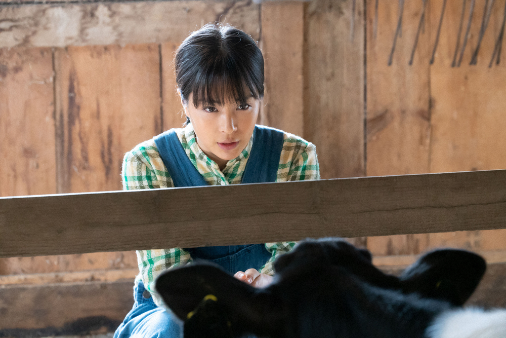 連続テレビ小説「なつぞら」第21話。家に帰ってからも牛を相手にせりふを練習するなつ（広瀬すず）（C）NHK