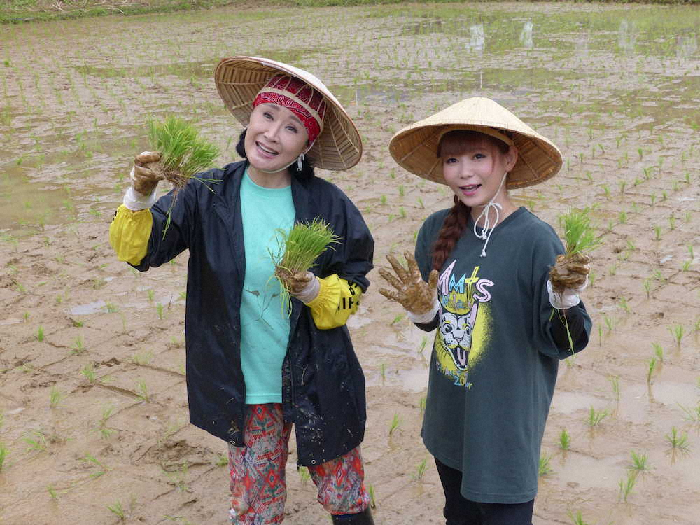 【画像・写真】“NGTの母”小林幸子「ものすごく心配」　毎年恒例の田植え作業にしょこたんも初参加