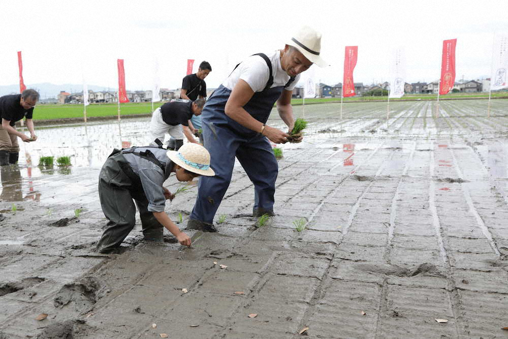 【画像・写真】海老蔵親子　亡き妻麻央さん出身地で田植えイベント、「新之助」成長心待ち