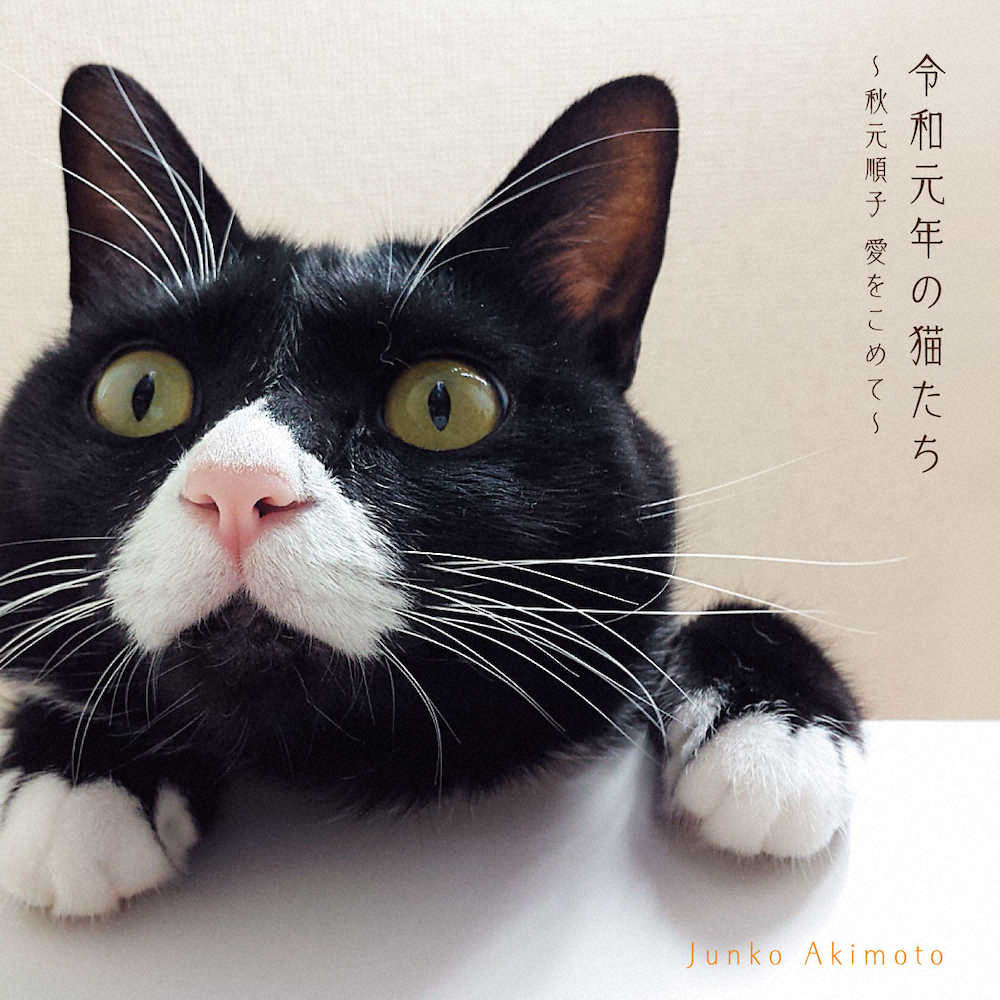 猫にまつわる名曲をカバーした秋元順子の話題作「令和元年の猫たち」