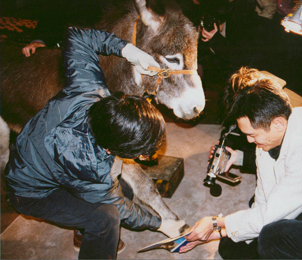 ロシナンテ写真集「へあぬーど」へ、ひづめのサインを押すロバのロシナンテ（1999年2月撮影）