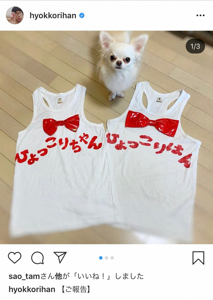 【画像・写真】ひょっこりはん　ひょっこりちゃんとの結婚発表「温かく見守って」