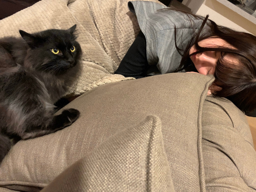 【画像・写真】橋本環奈　かわいすぎる寝顔に反響　最上もがアップの黒猫との2ショットに「微笑ましすぎる」