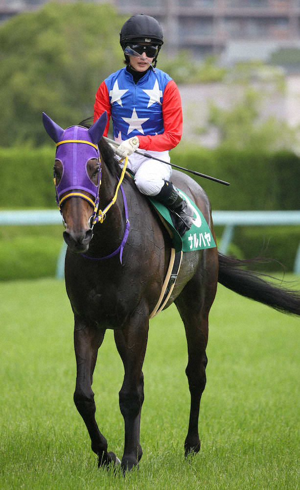 【画像・写真】菜七子騎乗の愛馬ナルハヤ4着　陣内孝則「頑張った」人馬に感謝　阪神G3「マーメイドS」