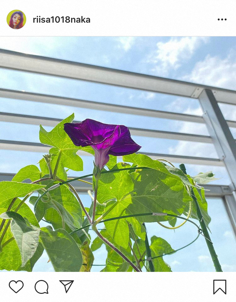 【画像・写真】仲里依紗「いろいろ辛いことがあったけど」周囲やファンの言葉に感謝　「エール」4カ月ぶり復帰報告