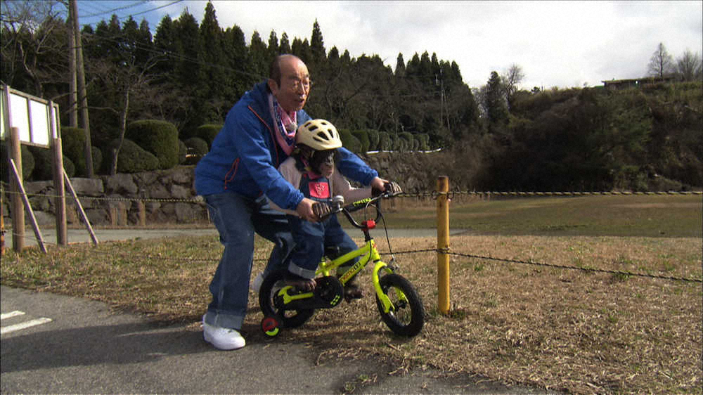 【画像・写真】志村園長　最後まで優しく温かく　26日最終回「志村どうぶつ園」2月撮影の未公開シーン放送