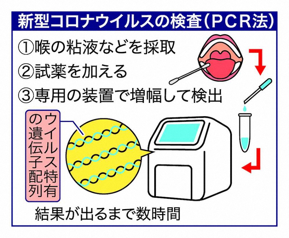 新型コロナウイルスの検査（PCR法）