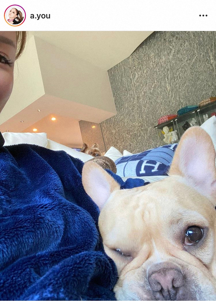 【画像・写真】浜崎あゆみ　第2子妊娠で「悪阻で毎日魂抜かれた顔してるわたし」に寄り添う“守護神”愛犬とのショット