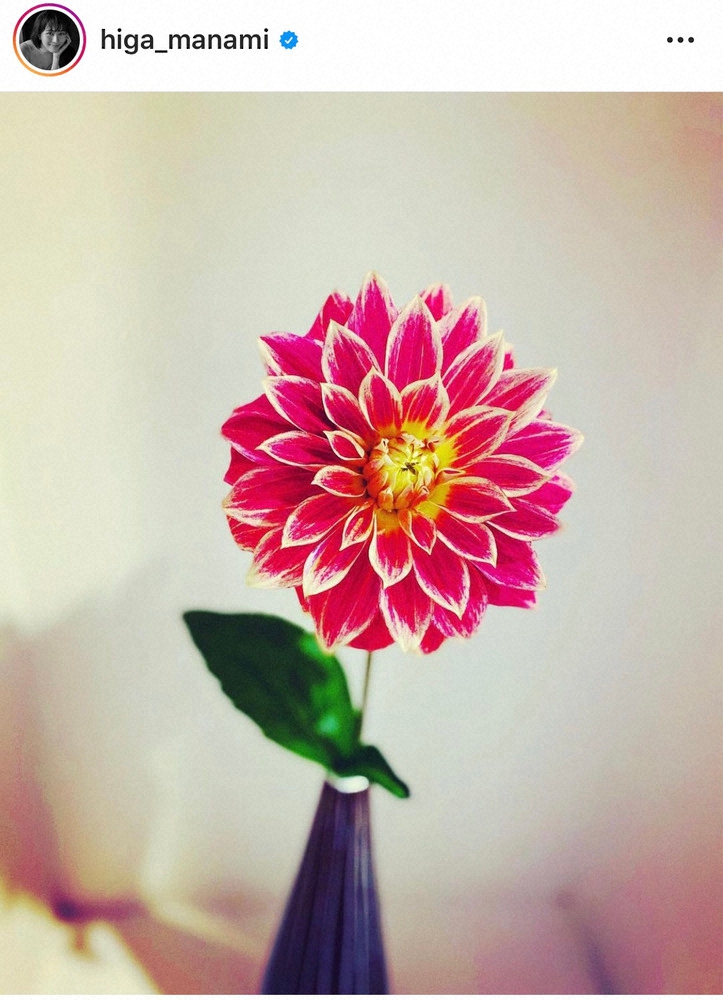 【画像・写真】比嘉愛未「自分を偽ったり周りを気にし過ぎるのはもうやめ」SNS向き合い方に反響