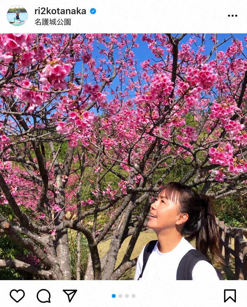 【画像・写真】田中律子「桜が満開」　お花見写真にフォロワー「うらやましい」「こちらはまだ雪…」