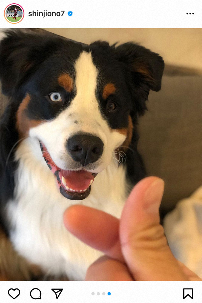 【画像・写真】愛犬と遊ぶ札幌・小野伸二にフォロワー“ほっこり”「相思相愛」「癒しですね」
