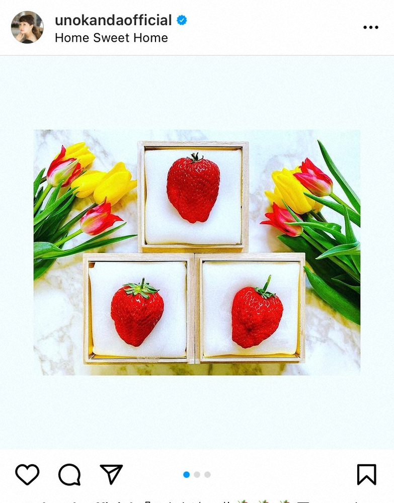 【画像・写真】神田うの　1粒1万7000円超高級いちごに舌鼓も「値段高過ぎ」と本音も　ファンから「桁あってます？」