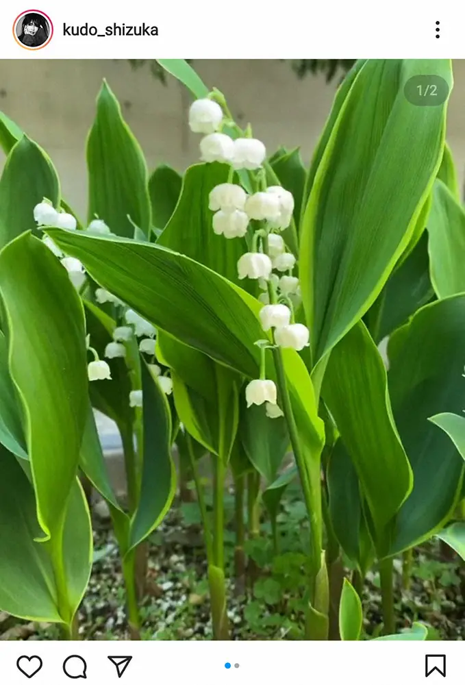 【画像・写真】工藤静香　20歳になった長女・Cocomi祝福「ガッツと向上心のある20歳に」