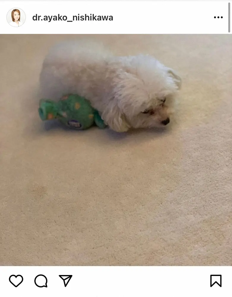 西川史子公式インスタグラム Dr Ayako Nishikawa より スポニチ Sponichi Annex 芸能