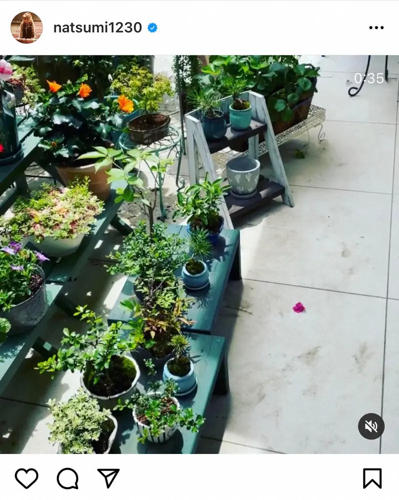 【画像・写真】小川菜摘　色とりどりの花が置かれた自宅テラス公開　「お花屋さんみたい」「素敵なお庭」の声