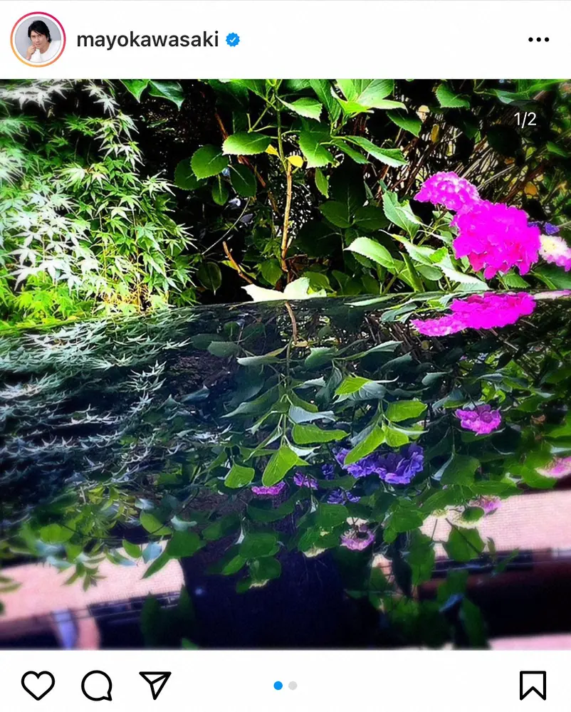 【画像・写真】川崎麻世　美しい愛車CX-8のボンネットリフレクション披露　「これは凄い」「水面に写る紫陽花のよう」