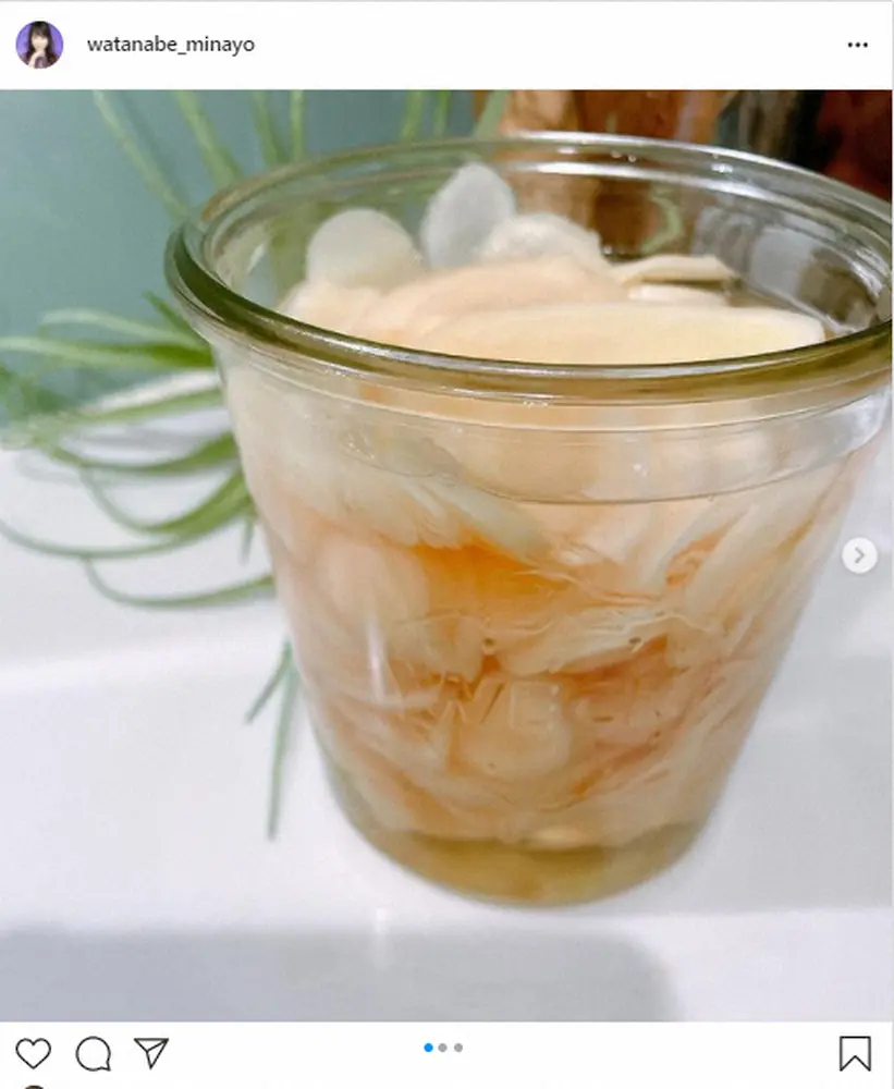 【画像・写真】渡辺美奈代　自家製ガリを披露　フォロワー驚き「家でガリ作るなんてびっくり」「なんでも作れて凄い」