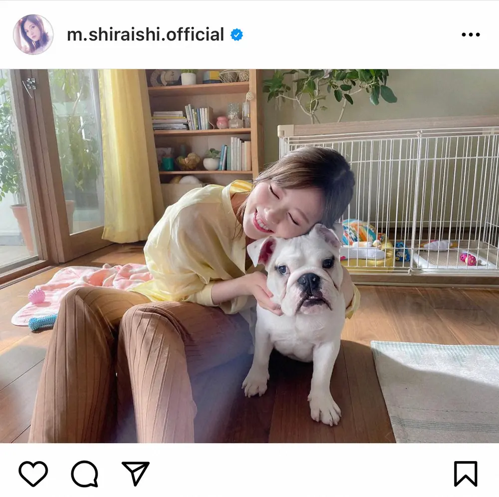 【画像・写真】白石麻衣　白いブルドックと頬寄せ2ショット「お利口さん」　13万以上の「いいね」