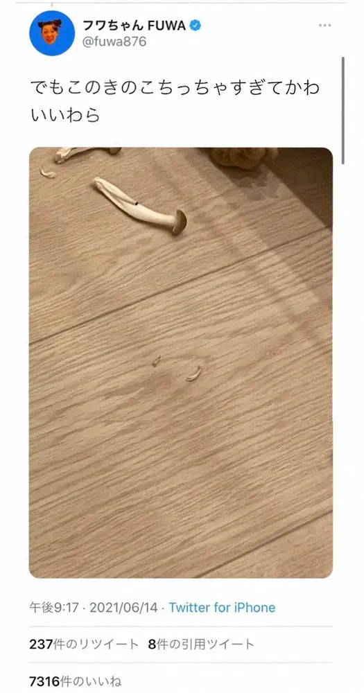 【画像・写真】フワちゃん　キッチンでの「まじムカつく」ハプニング　「お料理頑張って」「早く拾ってあげて!!」の声