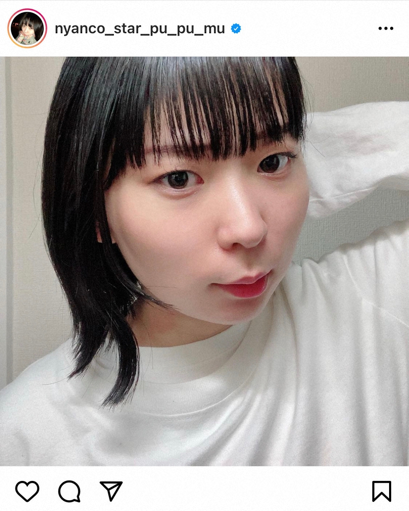 にゃんこスター のアンゴラ村長公式インスタグラム Nyanco Star Pu Pu Mu より スポニチ Sponichi Annex 芸能