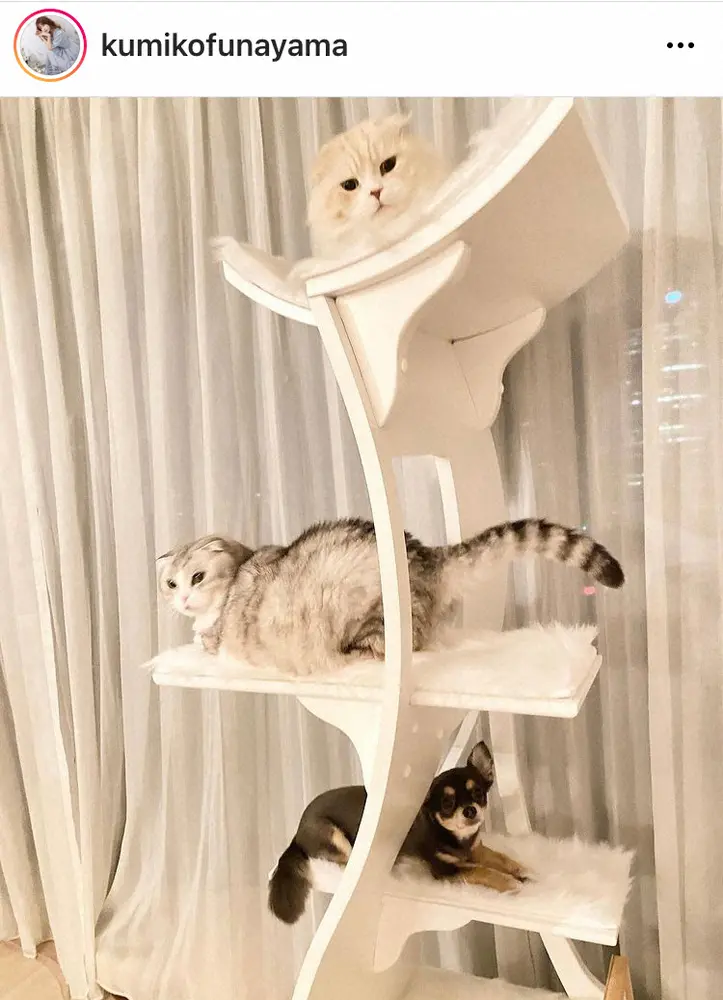 【画像・写真】くみっきー　「我が家の三兄弟」の癒しショット公開　おなかの第1子も「男の子」で「メンズまみれ」