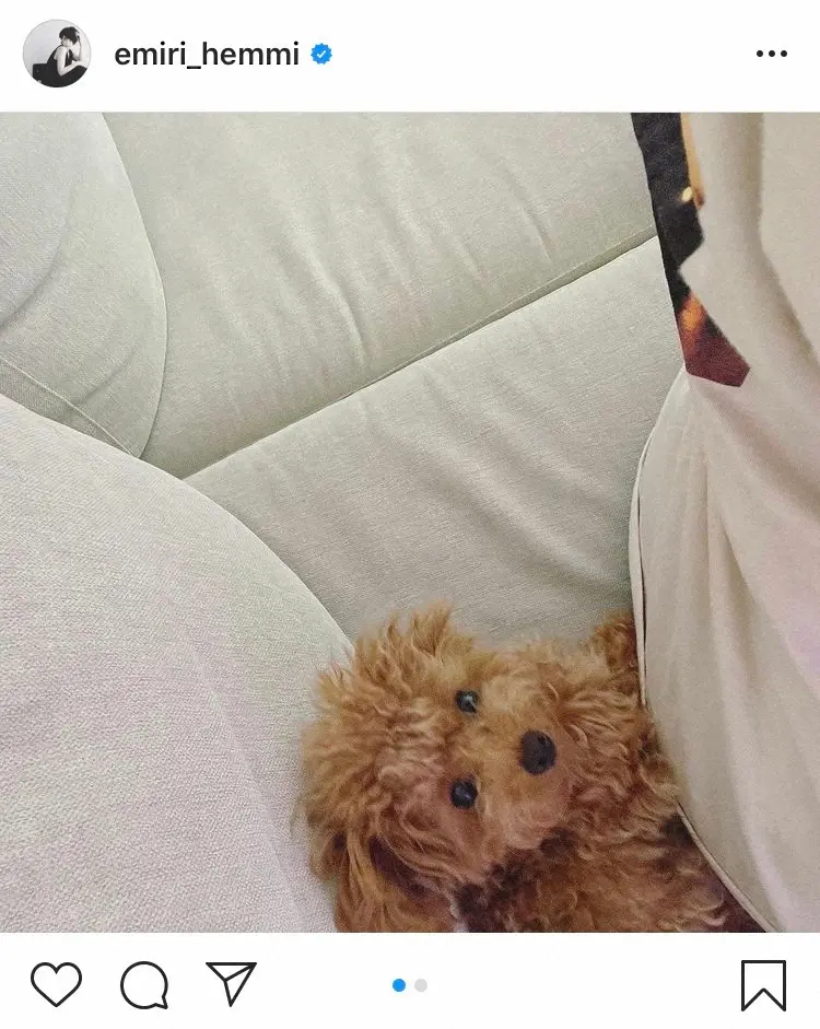 【画像・写真】辺見えみり「お尻の間に挟まっている人」愛犬の愛くるしい姿に「小さいぬいぐるみ発見！」「甘えん坊」