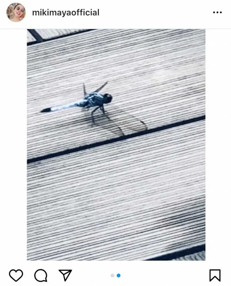 【画像・写真】真矢ミキ　「流血に笑顔」宝塚時代の“階段落下事件”明かす　ファン驚がく「なんという役者魂」