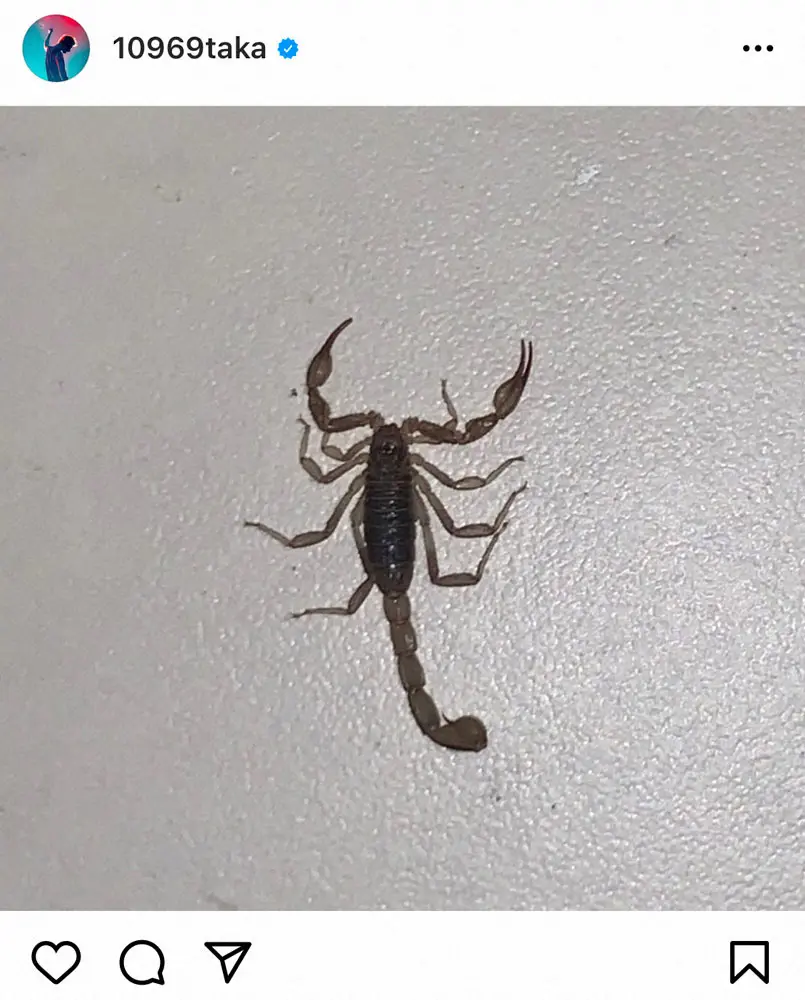 One Ok Rockのtaka スポニチ Sponichi Annex 芸能