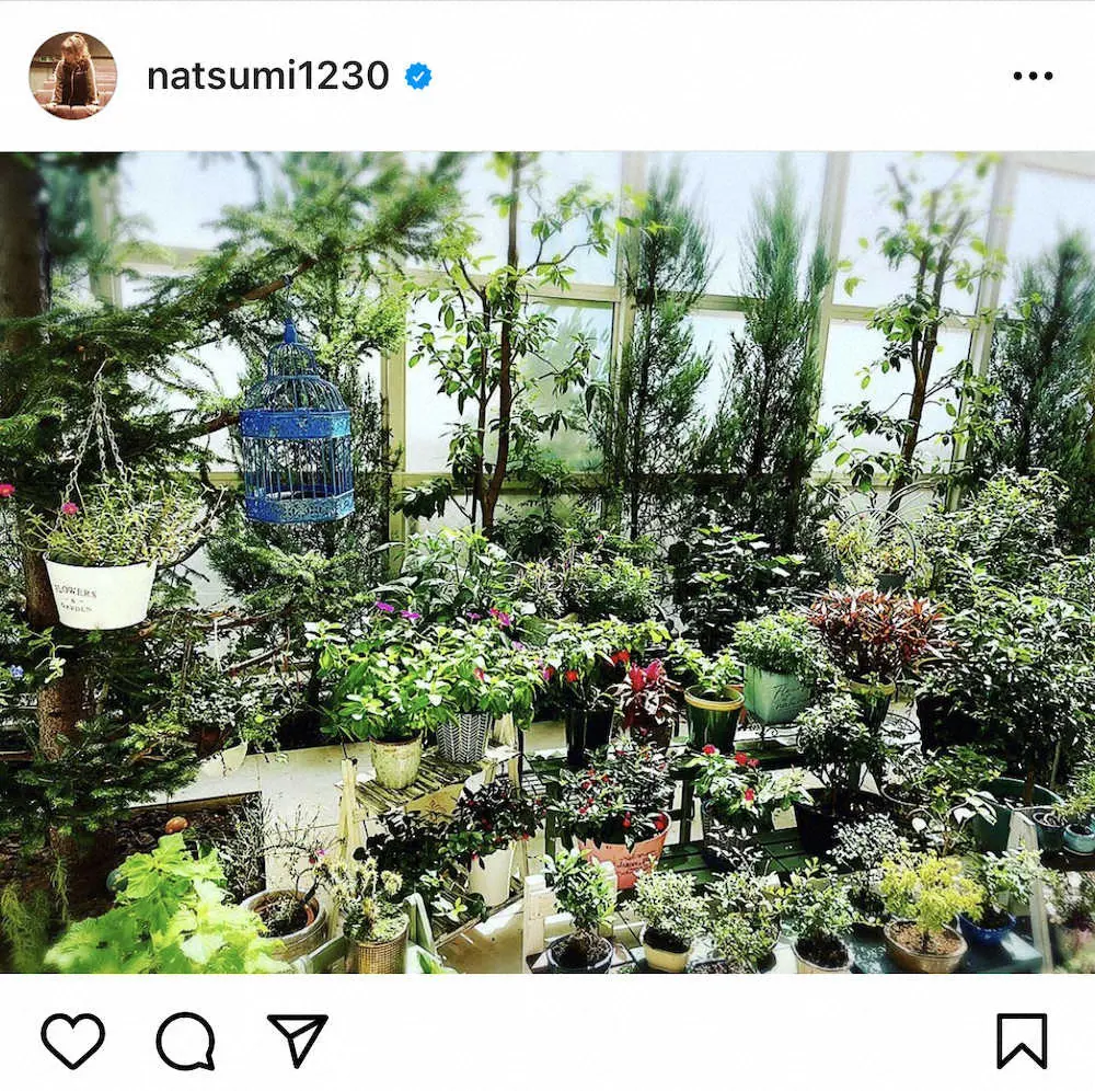 【画像・写真】小川菜摘　「秋の気配」自宅テラス公開　ファン驚き「植物園みたい」