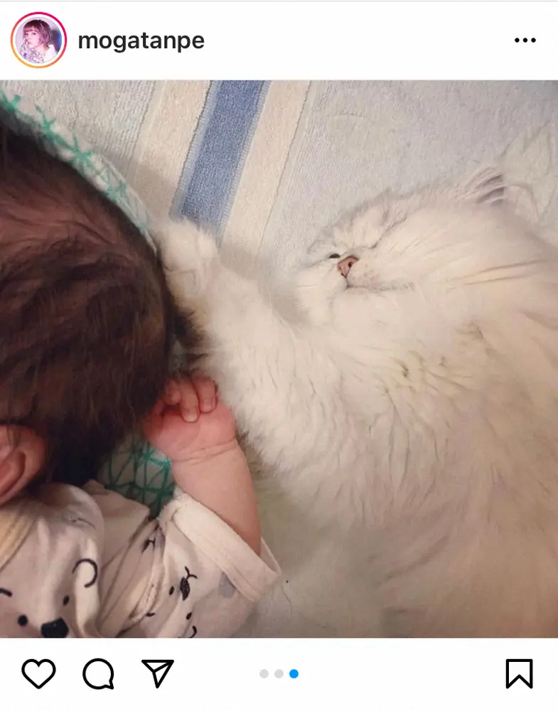 【画像・写真】最上もが　インスタに意味深投稿「仏のような人になれたらな」　愛娘誕生で「全部、これでよかったんだ」