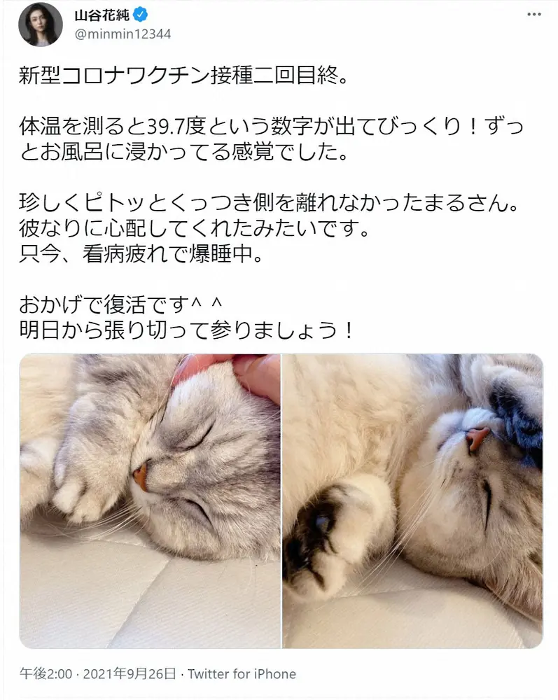 【画像・写真】山谷花純　ワクチン2回目接種で高熱「39.7度という数字が出てびっくり」　“看病疲れ”の愛猫の姿も