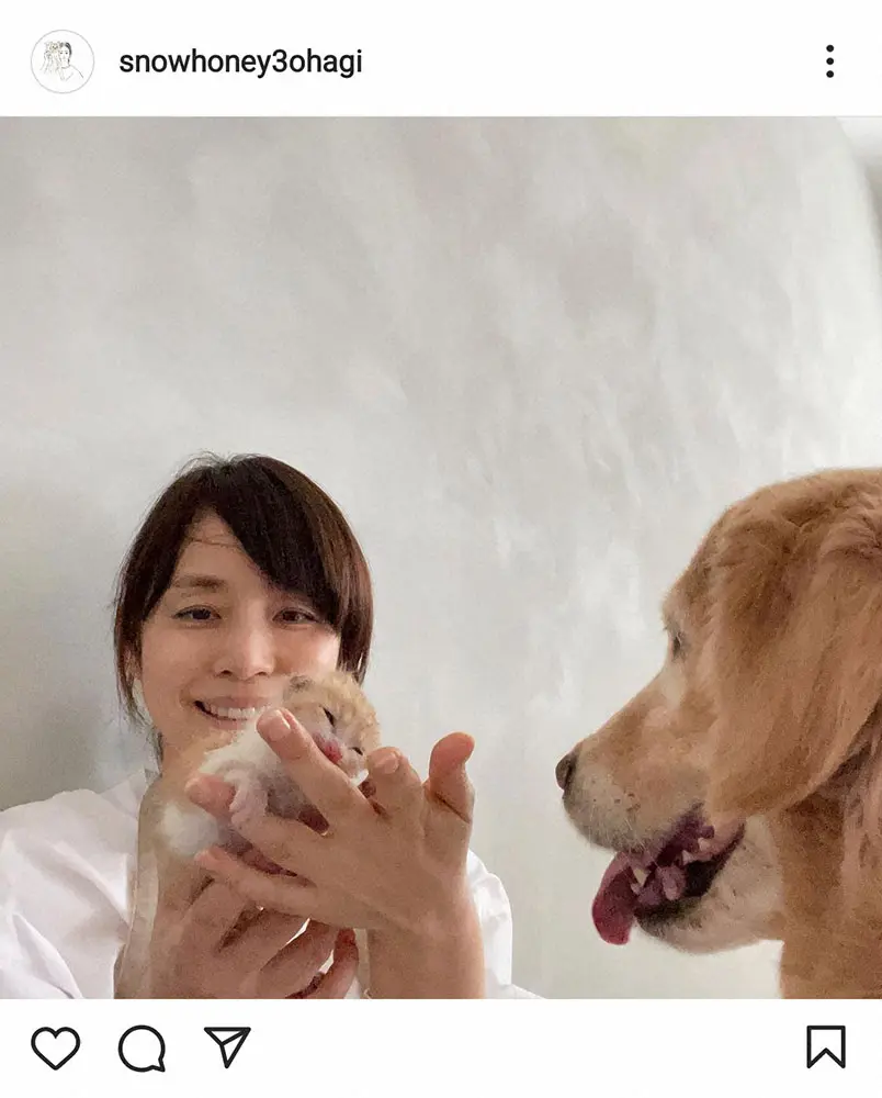 【画像・写真】石田ゆり子　生後1週間の子猫のミルクボランティア務める「本当に可愛い」と温かい眼差し