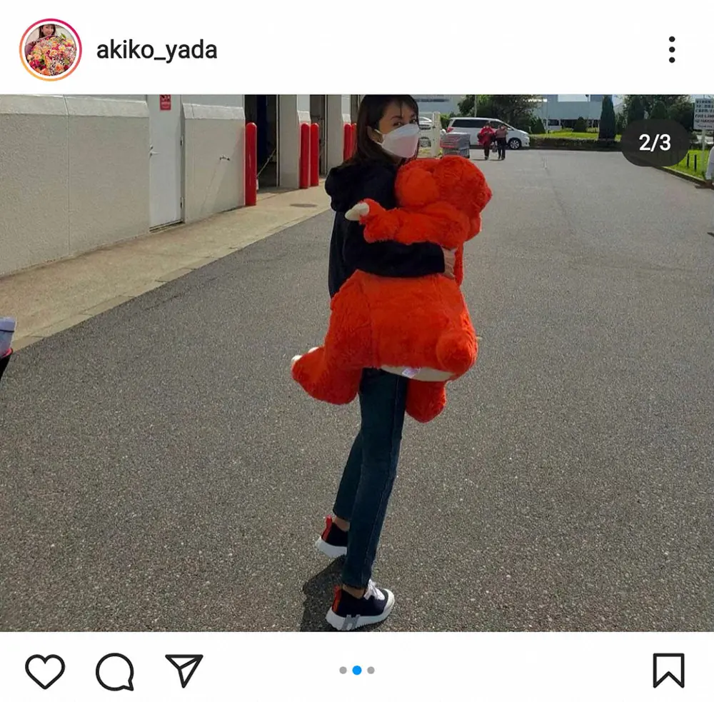 【画像・写真】矢田亜希子　コストコで巨大な恐竜ぬいぐるみ購入「移動中には抱えて寝ています」とお気に入り