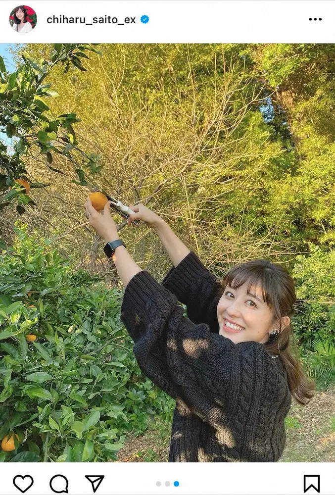 【画像・写真】斎藤ちはるアナ　楽しくみかん狩りもアクシデント！？「急にほっぺが痒くなって…」
