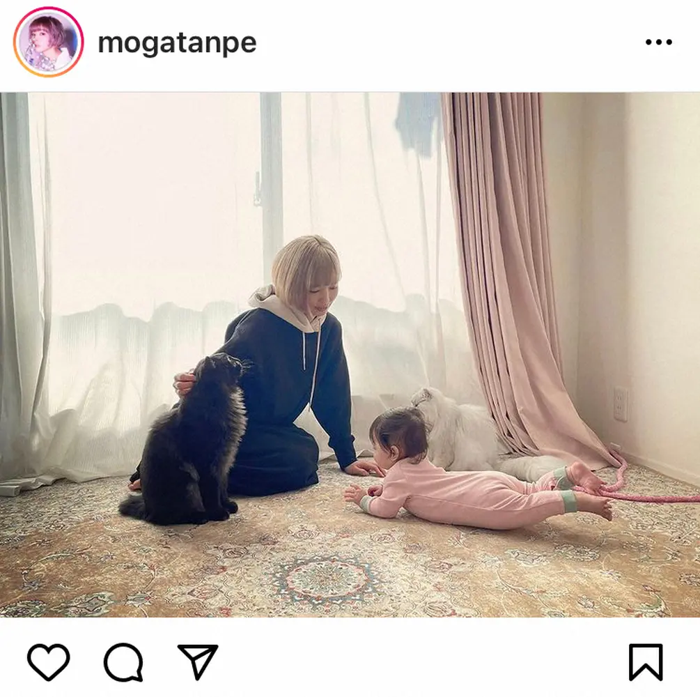 【画像・写真】最上もが　7カ月の愛娘＆愛猫たちとの家族ショット公開「癒し」「素敵な写真」「もうこんなに大きく」