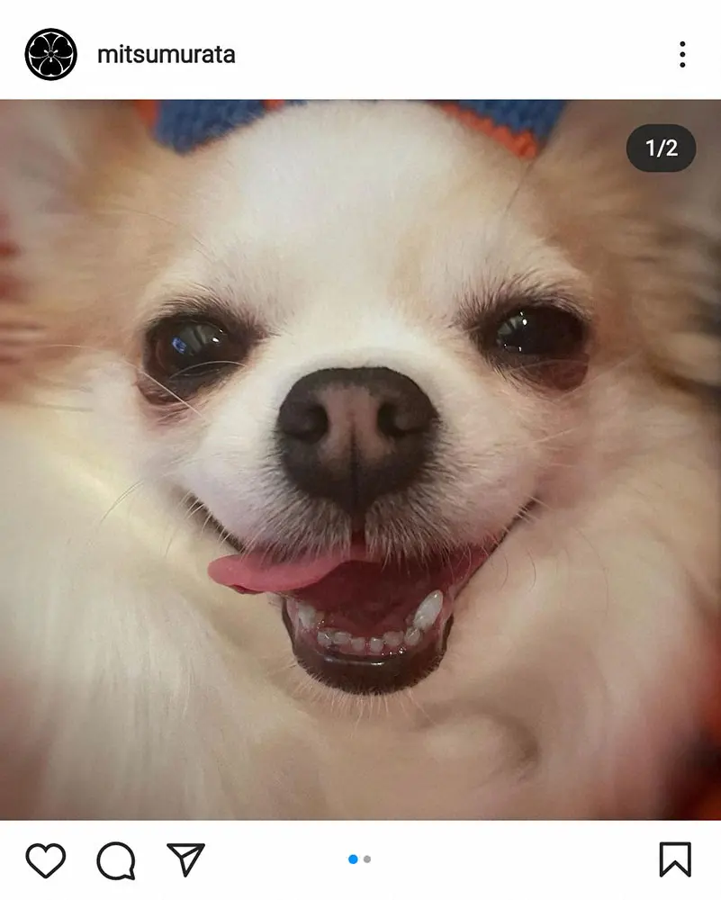 【画像・写真】元妻・神田沙也加さんの愛犬か…村田充が世話する写真投稿に「ありがとう」の声