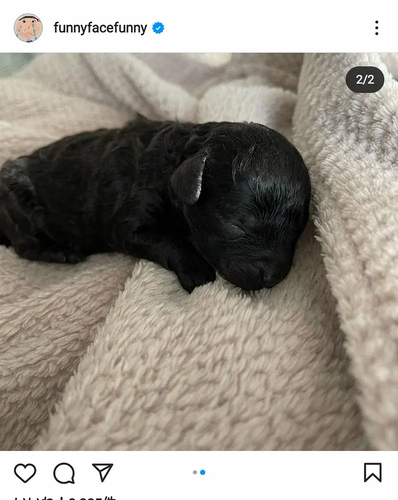 【画像・写真】渡辺満里奈「新しい家族」との早すぎる別れ報告「未だ気持ちの整理が」…夫の名倉潤は号泣