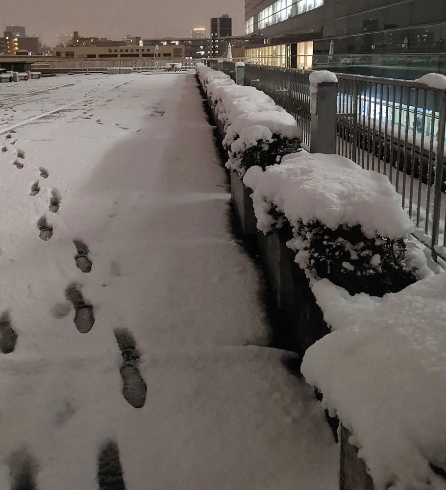 雪が積もり真っ白になった江東区内のテラス - スポニチ Sponichi Annex