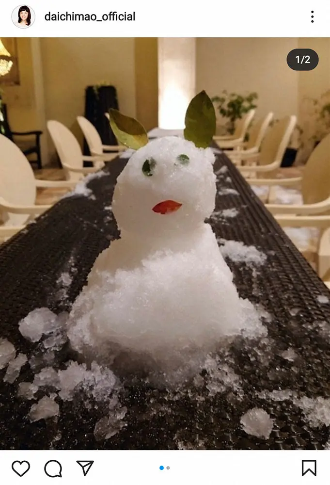 【画像・写真】大地真央　夫の森田恭通氏がおしゃれな自宅テラスで作った雪だるま披露「癒されたー感謝」