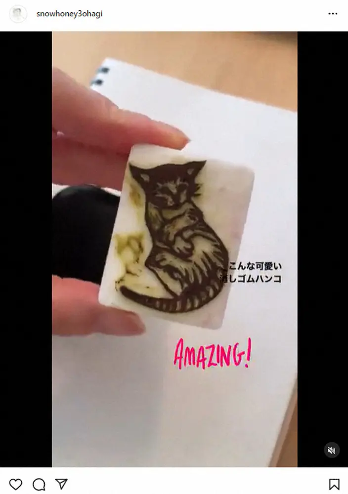 【画像・写真】石田ゆり子　里親の元へ行った子猫　消しゴムハンコで思い馳せる　「そっくり」「朝から涙が」の声