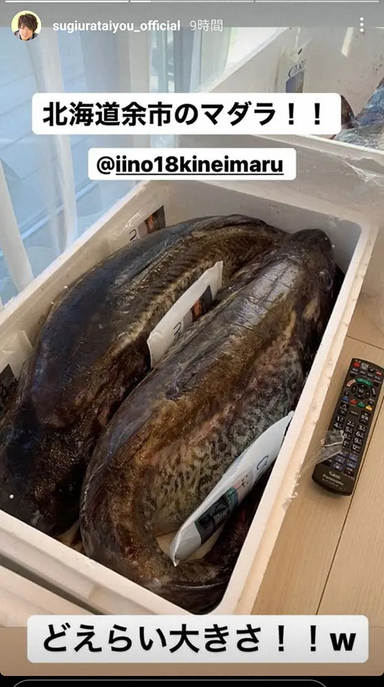 【画像・写真】辻希美　「１mくらいある」巨大マダラ3匹1人でさばいた！手が何度もつりながら「まじ頑張った」