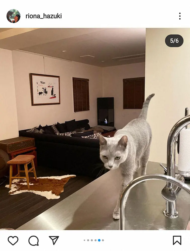 【画像・写真】葉月里緒奈　最近「仲間入り」モダンな暖炉のあるリビング披露に「素敵なお部屋ですね」の声