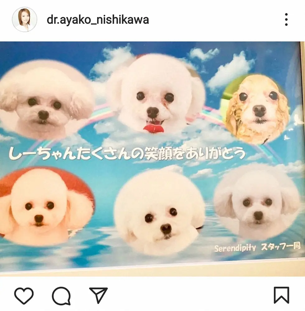 【画像・写真】西川史子　自身の入院中に愛犬が天国へ…悲しみの報告「私の身代わりになってくれたとしか思えなくて」