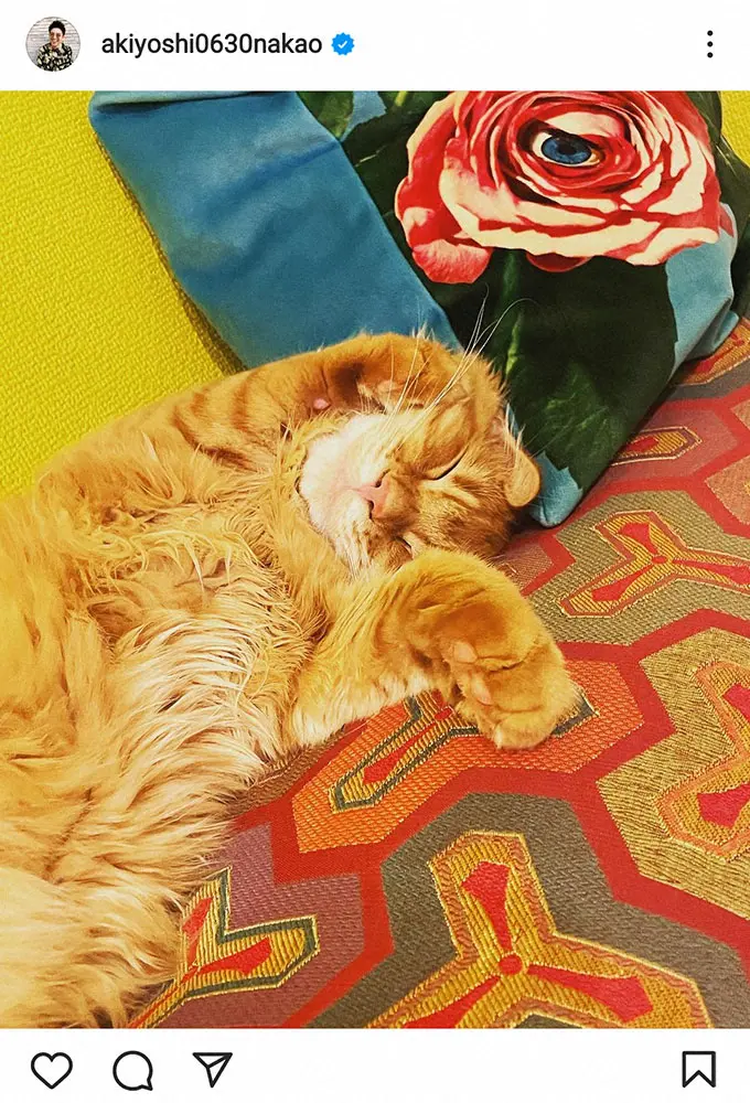 【画像・写真】中尾明慶「右にはこの人」と横で寝ている人の姿披露に「ラブラブですね」「素敵～」の声